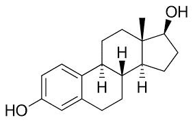 østrogen