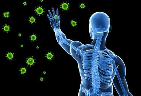 493ss_thinkstock_rf_Immune_system_sycept