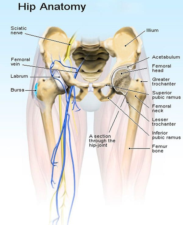 Chiropractic Hip Realignment for Imbalanced Hips - Wellness Doctor Rx