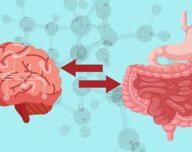 Does the Brain Need Carbohydrates? - EP Wellness & Functional Medicine ...